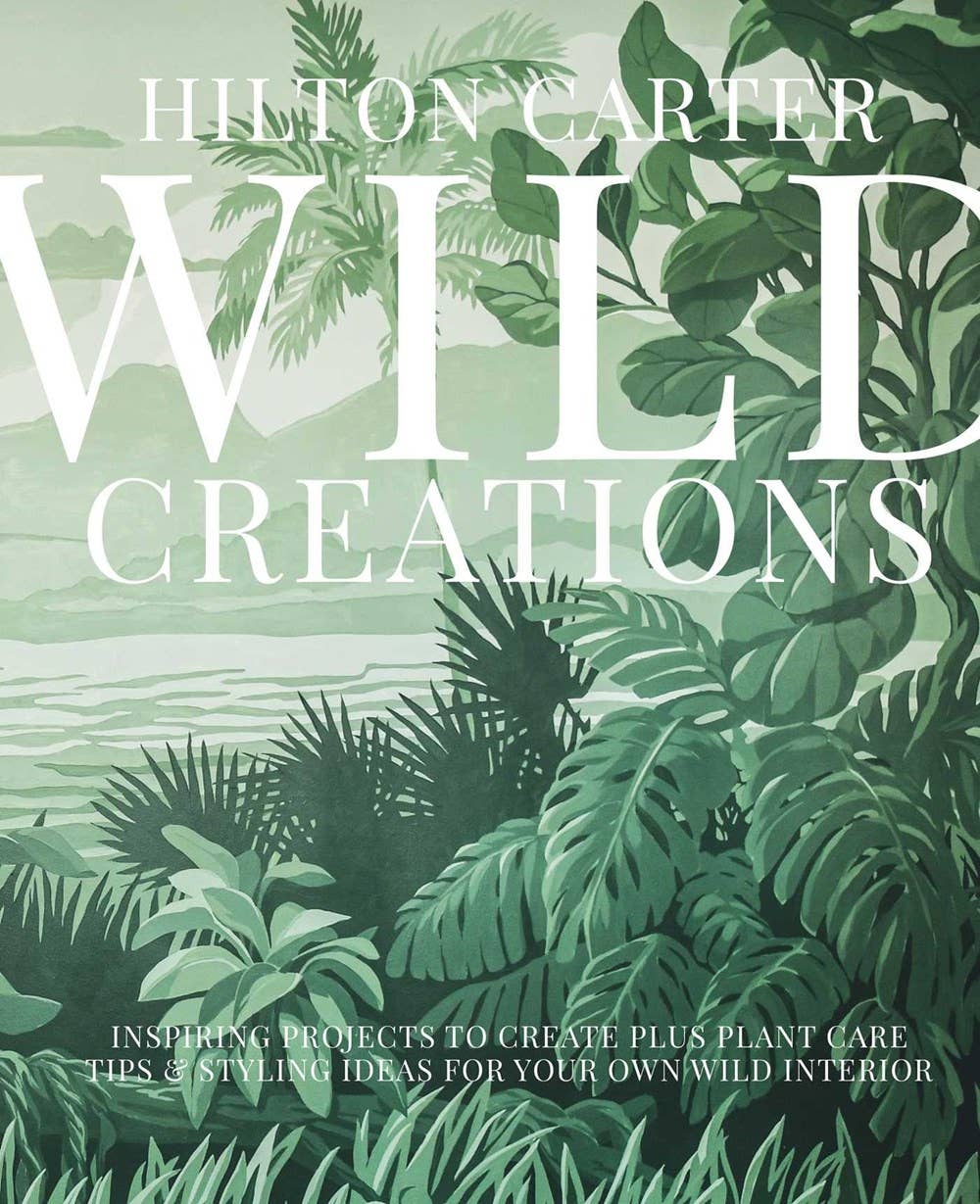 BooksWild Creations: Plant Care Tips & Styling Ideas